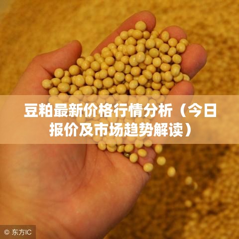 豆粕最新价格行情分析（今日报价及市场趋势解读）