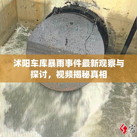 沭阳车库暴雨事件最新观察与探讨，视频揭秘真相