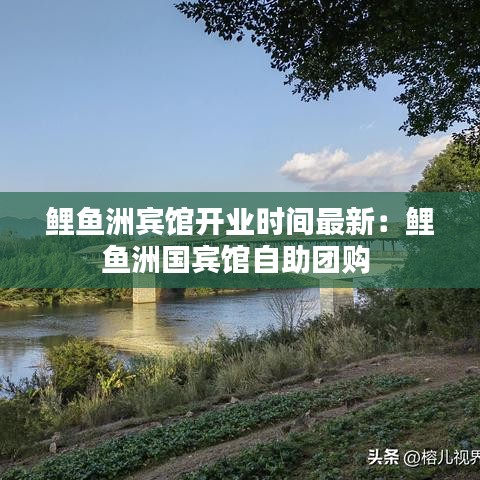 鲤鱼洲宾馆开业时间最新：鲤鱼洲国宾馆自助团购 