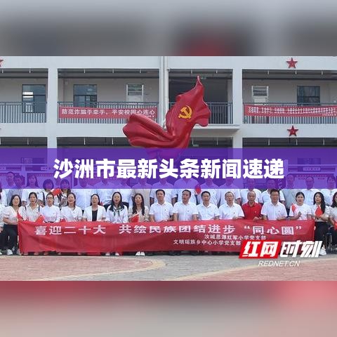 沙洲市最新头条新闻速递