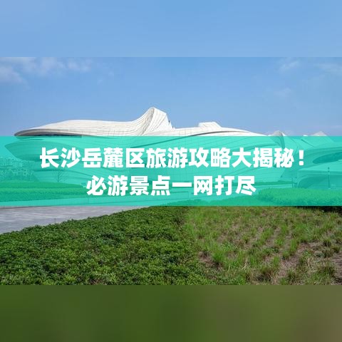 丰容盛鬋 第2页