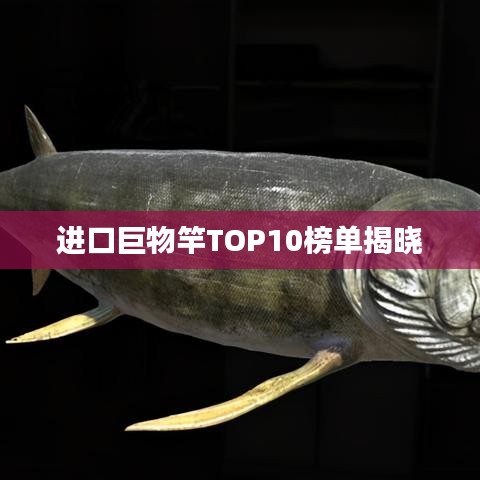 进口巨物竿TOP10榜单揭晓