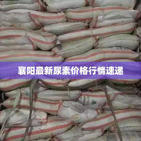 战天斗地 第2页