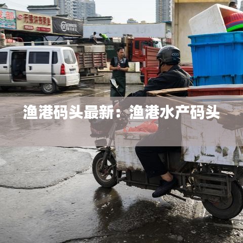 渔港码头最新：渔港水产码头 