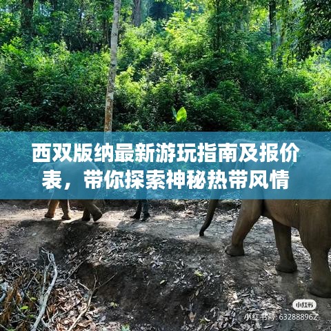 顶天立地 第2页