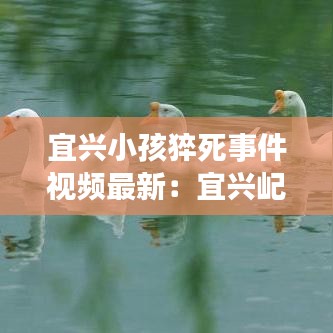 宜兴小孩猝死事件视频最新：宜兴屺亭小孩跳河 