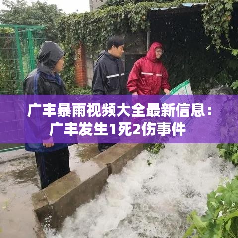 广丰暴雨视频大全最新信息：广丰发生1死2伤事件 