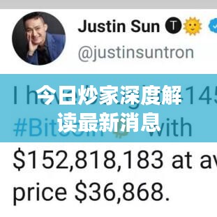 今日炒家深度解读最新消息