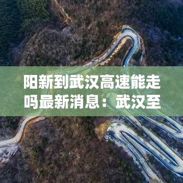 阳新到武汉高速能走吗最新消息：武汉至阳新高速有哪几个出口 