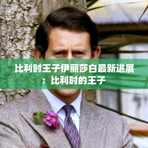 比利时王子伊丽莎白最新进展：比利时的王子 