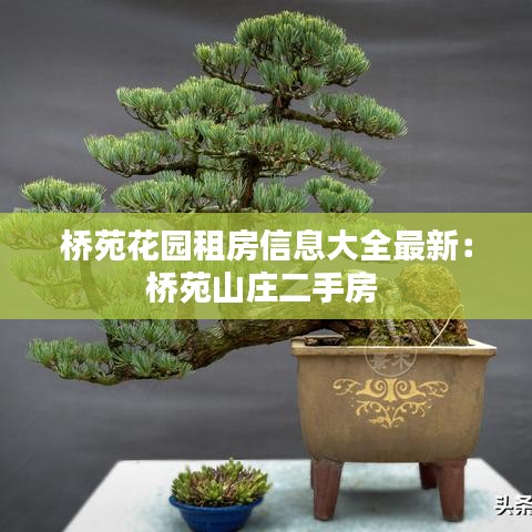 桥苑花园租房信息大全最新：桥苑山庄二手房 