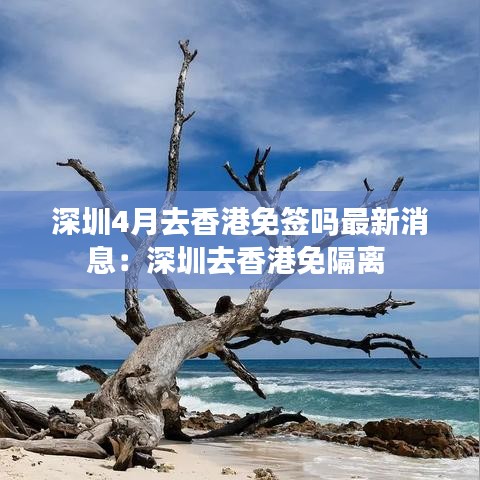 深圳4月去香港免签吗最新消息：深圳去香港免隔离 