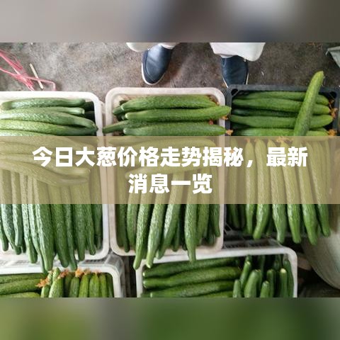 今日大葱价格走势揭秘，最新消息一览