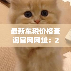 最新车税价格查询官网网址：2021车税 