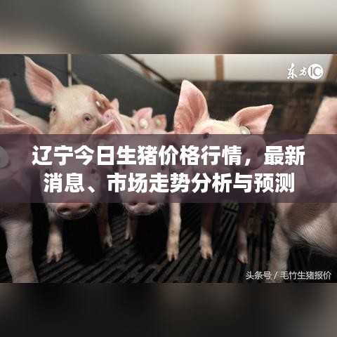 辽宁今日生猪价格行情，最新消息、市场走势分析与预测