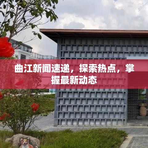 曲江新闻速递，探索热点，掌握最新动态