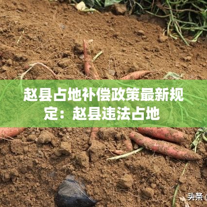 赵县占地补偿政策最新规定：赵县违法占地 