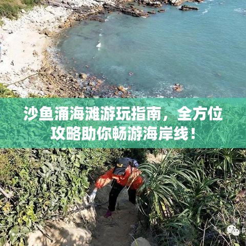 沙鱼涌海滩游玩指南，全方位攻略助你畅游海岸线！