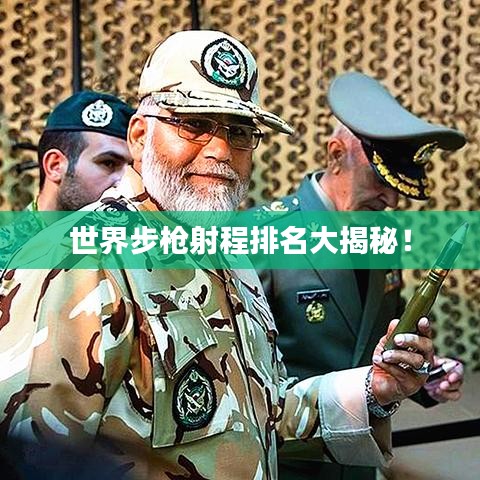 草率从事 第2页