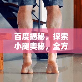 如翚斯飞 第2页