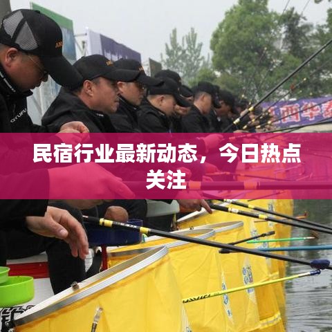 民宿行业最新动态，今日热点关注