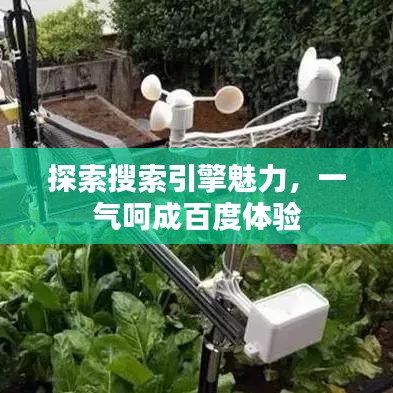 探索搜索引擎魅力，一气呵成百度体验