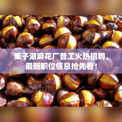 栗子湖麻花厂普工火热招聘，最新职位信息抢先看！