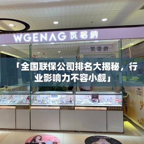 「全国联保公司排名大揭秘，行业影响力不容小觑」