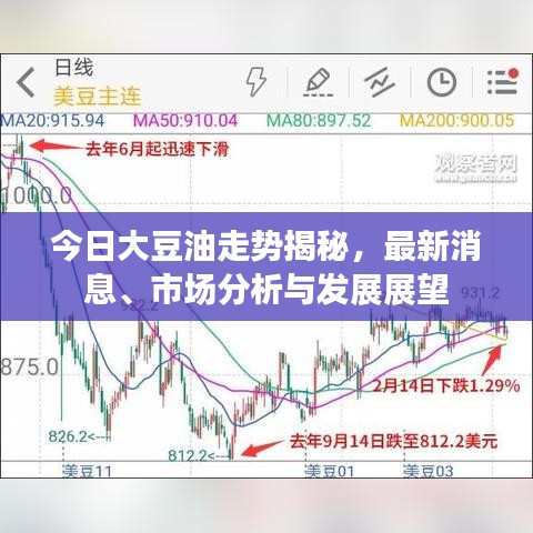 今日大豆油走势揭秘，最新消息、市场分析与发展展望