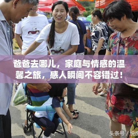 爸爸去哪儿，家庭与情感的温馨之旅，感人瞬间不容错过！