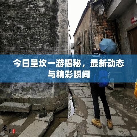 今日呈坎一游揭秘，最新动态与精彩瞬间