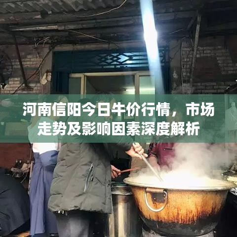 河南信阳今日牛价行情，市场走势及影响因素深度解析