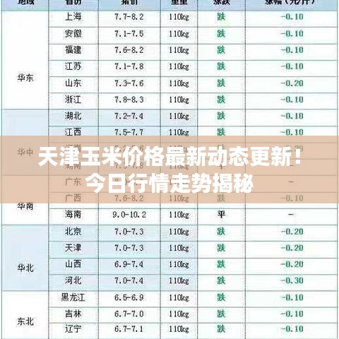 天津玉米价格最新动态更新！今日行情走势揭秘