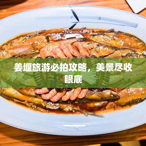 姜堰旅游必拍攻略，美景尽收眼底