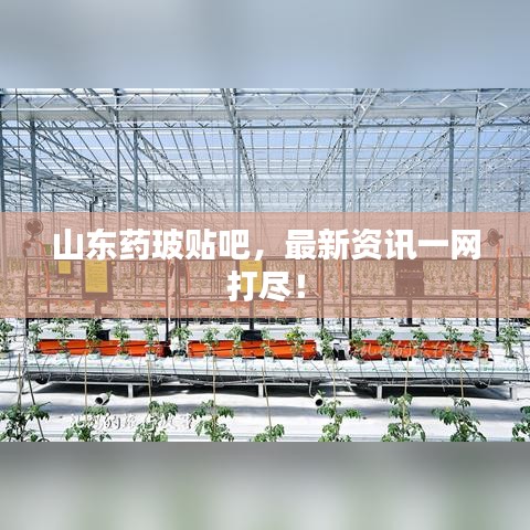 山东药玻贴吧，最新资讯一网打尽！