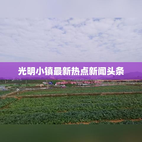光明小镇最新热点新闻头条