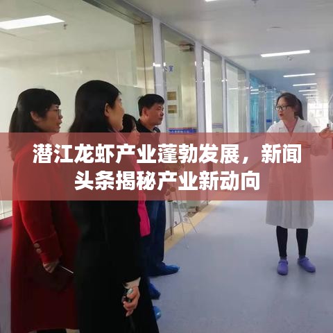潜江龙虾产业蓬勃发展，新闻头条揭秘产业新动向