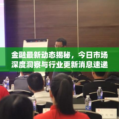 金融最新动态揭秘，今日市场深度洞察与行业更新消息速递
