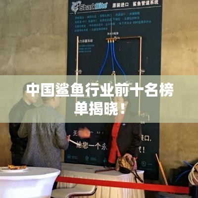 中国鲨鱼行业前十名榜单揭晓！