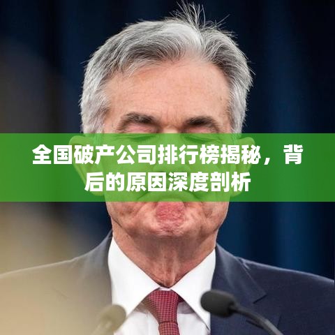 全国破产公司排行榜揭秘，背后的原因深度剖析