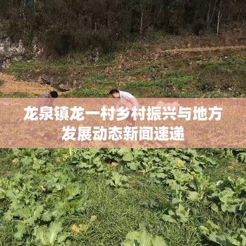 龙泉镇龙一村乡村振兴与地方发展动态新闻速递