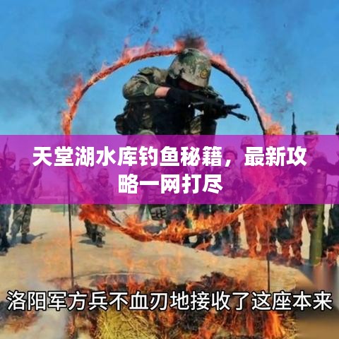 天堂湖水库钓鱼秘籍，最新攻略一网打尽