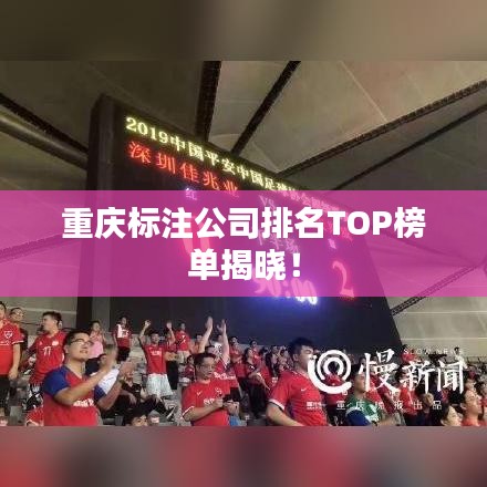 重庆标注公司排名TOP榜单揭晓！
