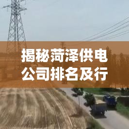 揭秘菏泽供电公司排名及行业地位