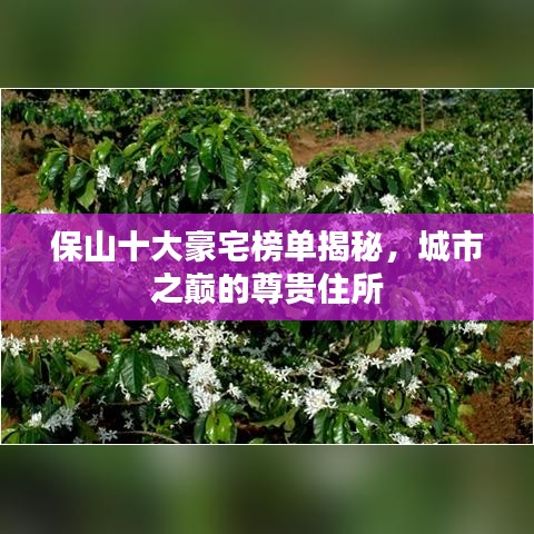 保山十大豪宅榜单揭秘，城市之巅的尊贵住所