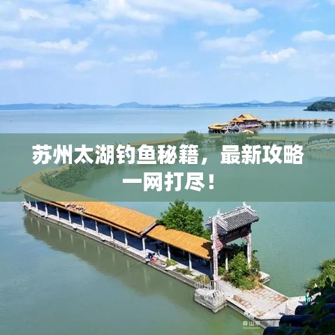 苏州太湖钓鱼秘籍，最新攻略一网打尽！