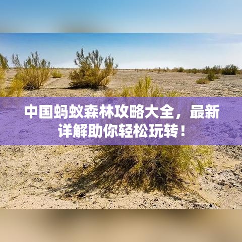 中国蚂蚁森林攻略大全，最新详解助你轻松玩转！