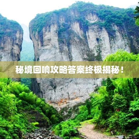 秘境回响攻略答案终极揭秘！