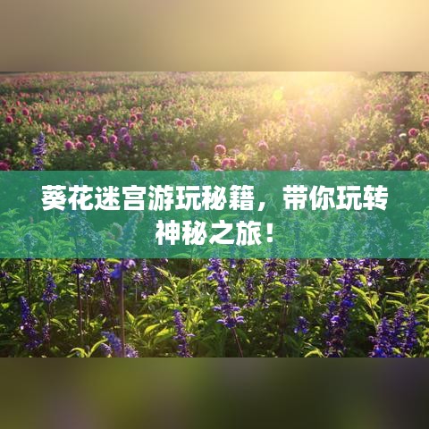 葵花迷宫游玩秘籍，带你玩转神秘之旅！