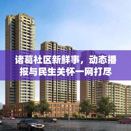 诸葛社区新鲜事，动态播报与民生关怀一网打尽